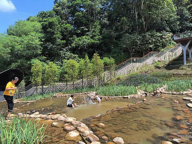 广东江门突发山火：火势得到控制，多方力量共同应对